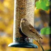 Vogelfutterstation,,Panorama,Vogelfutterspender,,Futterautom Produktbild-Vorschau 7