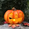 A carved pumpkin lantern with a lit candle inside, placed on a rock with autumn leaves around it, with greenery in the background. Anteprima dell’immagine prodotto
