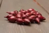 Steckzwiebel Rote Karmen (250 g) | Steckzwiebeln von Produktbild-Vorschau 2