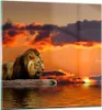 Bilder auf glas - Löwe Sonne Landschaft - 70x70cm - Produktbild-Vorschau 1