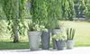 Prosperplast Blumentopf - Betonoptik - anthrazit - Produktbild-Vorschau 9