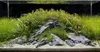 Gravier d'aquarium, quartz 2-3 mm clair, 16 kg Voir les images du produit 8