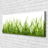 Tulup Leinwand-Bilder 125x50 Wandbild Canvas Kunstdruck Produktbild-Vorschau 2