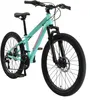 BIKESTAR Kinder Jugend Mountainbike 24 Zoll ab 8 Jahre | 21 Produktbild-Vorschau 1