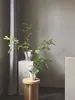 Georg Jensen - BLOOM Botanica Übertopf, 14 cm Produktbild-Vorschau 3