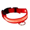 Collare LED per cani, ricaricabile tramite USB, regolabile Anteprima dell’immagine prodotto 1