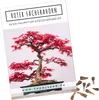 Außergewöhnliche Bonsai Samen mit hoher Keimrate - Pflanzen Produktbild-Vorschau 1
