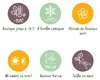 Green boutiQ - Arbre sur tige - Magnolia Susan - Plante de Voir les images du produit 3