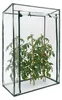 Relaxdays Gewächshaus für Tomaten 150 x 100 x 50 cm HxBxT, Produktbild-Vorschau 1