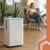 RUHHY DRYZIX Luftentfeuchter 12 L/24 h mit WLAN & Produktbild-Vorschau 4