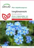 SAFLAX - Vergißmeinnicht - Myosotis sylvatica - 150 Samen Produktbild-Vorschau 1