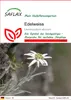SAFLAX - Edelweiss - Leontopodium alpinum - 500 Samen Produktbild-Vorschau 1