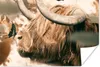 MuchoWow® Poster Schottischer Highlander - Schmetterling - Produktbild-Vorschau 1