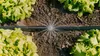 Gardena Micro-Drip-System Set Gemüse-/Blumenbeet 60qm Produktbild-Vorschau 17