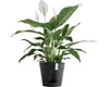Pflanztopf Ecopots Venice Kunststoff Ø 20 cm H 17,7 cm Produktbild-Vorschau 2