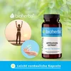 Bioherba Apfelessig Extrakt 340 mg 100 Kapseln Produktbild-Vorschau 7