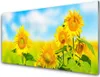 Acrylglasbilder 100x50 Wandbild Druck Sonnenblumen Pflanzen Produktbild-Vorschau 1