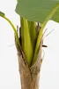 Mica Decorations Kunstpflanze Bananenstaude im Blumentopf – Produktbild-Vorschau 4
