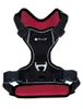 Petlando Outdoor Geschirr rot M Produktbild-Vorschau 2