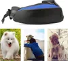 A collage of images showing a pet carrier bag and dogs in various settings. Produktbild-Vorschau