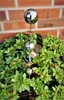 Skulptur Roma Edelstahl poliert Pflanzstecker Gartenstecker Produktbild-Vorschau 2