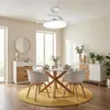Ventilateur de plafond Parrot Uncle avec éclairage et Voir les images du produit 11
