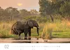 Exklusivkalender Namibia 2027, 70 x 50 cm, limitierte Produktbild-Vorschau 7