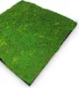 A close-up, angled view of a green moss panel on a white background. Produktbild-Vorschau