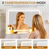 A woman applying makeup in front of a lighted mirror, with three color temperature options shown below. Produktbild-Vorschau