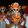 HOWAF 40 Künstliche Ringelblume Dia de Los Muertos Deko, Produktbild-Vorschau 7