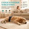 HUND IST KÖNIG Hundewindeln für Rüden [3 Stk], XXL (Taille Produktbild-Vorschau 2