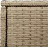 Zahradní úložná skříň polyratan Béžová / 105 x 55 x 113 cm Náhled obrázku produktu 13