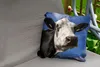MuchoWow® Outdoor Kissen - Kuh - Weiß - Nase - Tiere - Produktbild-Vorschau 2
