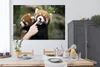MuchoWow® Poster Panda - Hand - Rot 180x120 cm - Fotoplakat Produktbild-Vorschau 3