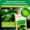 Purgrün Nordmanntanne-Dünger 1 kg, Produktbild-Vorschau 4