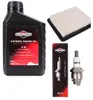 Kit di manutenzione per i tosaerba BRIGGS&STRATTON Quantum Anteprima dell’immagine prodotto 6
