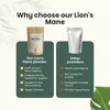 Mane de lion en poudre Voir les images du produit 6