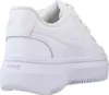 NIKE COURT VISION ALTA LTR Biela Náhľad obrázku produktu 4