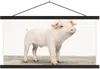 MuchoWow® Textilposter Ferkel - Groß - Tiere - Rosa - Produktbild-Vorschau 1