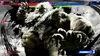 Nintendo Street Fighter 6: Year 1-2 Fighters Edition Náhľad obrázku produktu 5