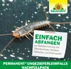 Neudorff Permanent UngezieferLeimFalle Nachfüllpack 4 Stk. Produktbild-Vorschau 6