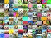 99 vélos et plus encore... Ravensburger 16007 Voir les images du produit 2