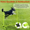 NAIZY Honden Agility Set, 4 slalomstokken, hindernissen set Productafbeelding-voorbeeld 5