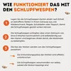 Schlupfwespen gegen Kleidermotten - 8 Karten á 1 Produktbild-Vorschau 4