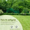 Bestellartikel Härtlicher Schwingel/ Schafschwingel festuca Produktbild-Vorschau 3