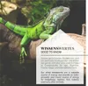 WILDLIFE HOME Soldatenfliegenlarven getrocknet 5L I Produktbild-Vorschau 5