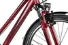 Adler Verona Trapez vielseitiges Damen-Trekkingbike mit Produktbild-Vorschau 8