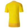 Puma GOAL 23 Trainingstrikot Herren gelb Gr L Produktbild-Vorschau 2
