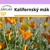 SAFLAX - Kalifornský mák - Eschscholzia californica - 1500 Náhled obrázku produktu 4
