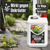 Permaclean Grundstoff Acetum 5 L - Herbizid für Unkräuter Produktbild-Vorschau 2